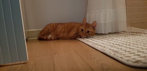 Daniel’s princess and MY princess looking so pretty