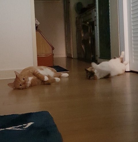 Daniel’s princess and MY princess looking so pretty