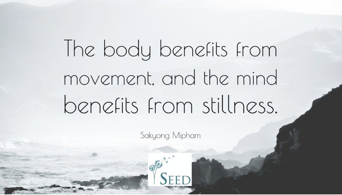 seedwellnessuk's tweet photo. Move your body, calm your mind #thursdaythoughts #helpingyouflourish #seed #seedwellness #health #wellness #balance #wellbeing #beaconsfield #yoga #pilates #meditation #massage #reflexology #reiki #aromatherapy #counselling #lifecoaching #mindbodysoul #holistichealth https://t.co/uLiNXDCfRT