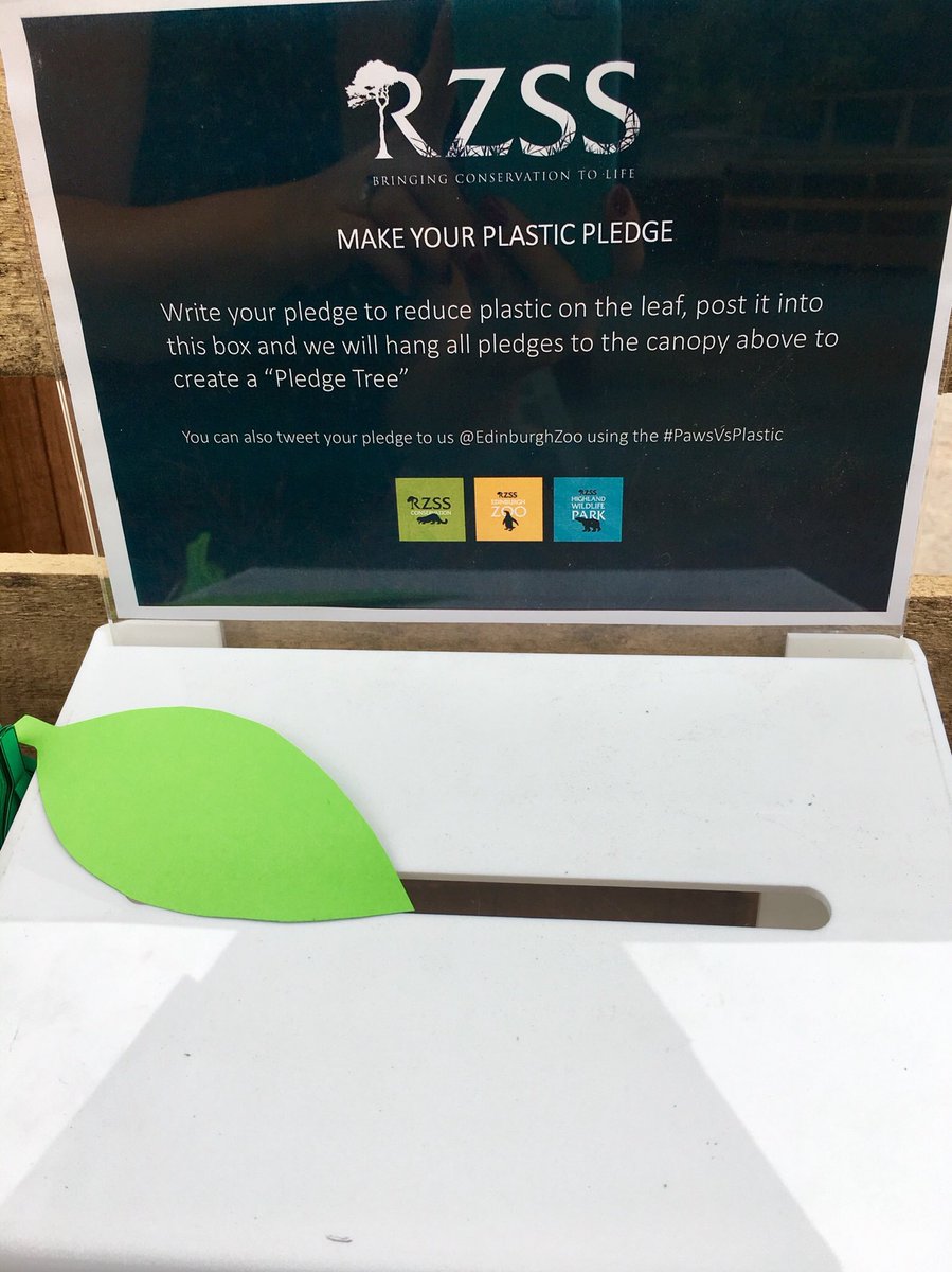 Rachael_s_clark's tweet photo. @EdinburghZoo Pledge Tree is growing! Make sure to make your pledge against single use plastic #greenpawprints #PawsVsPlastic #FightThePlastic #plasticfres https://t.co/dJYPzyk3CG