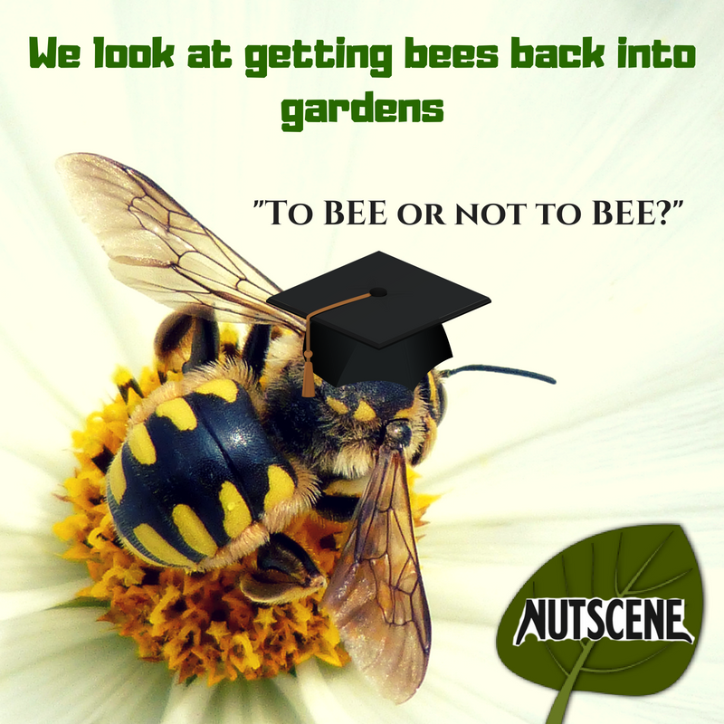 nutscene's tweet photo. Its 🐝Bees’ Needs Week 2018! We are looking at how we can get bees back into our 🌳 gardens: https://t.co/A5GMiXafcP 🐝

"Why do bees get married? -because they found their honey!"🍯
Hive five!✋We can honestly keep going all day! 😂
#BeesNeedsWeek #savethebees #BeesNeeds https://t.co/ZJkyW9ccHt