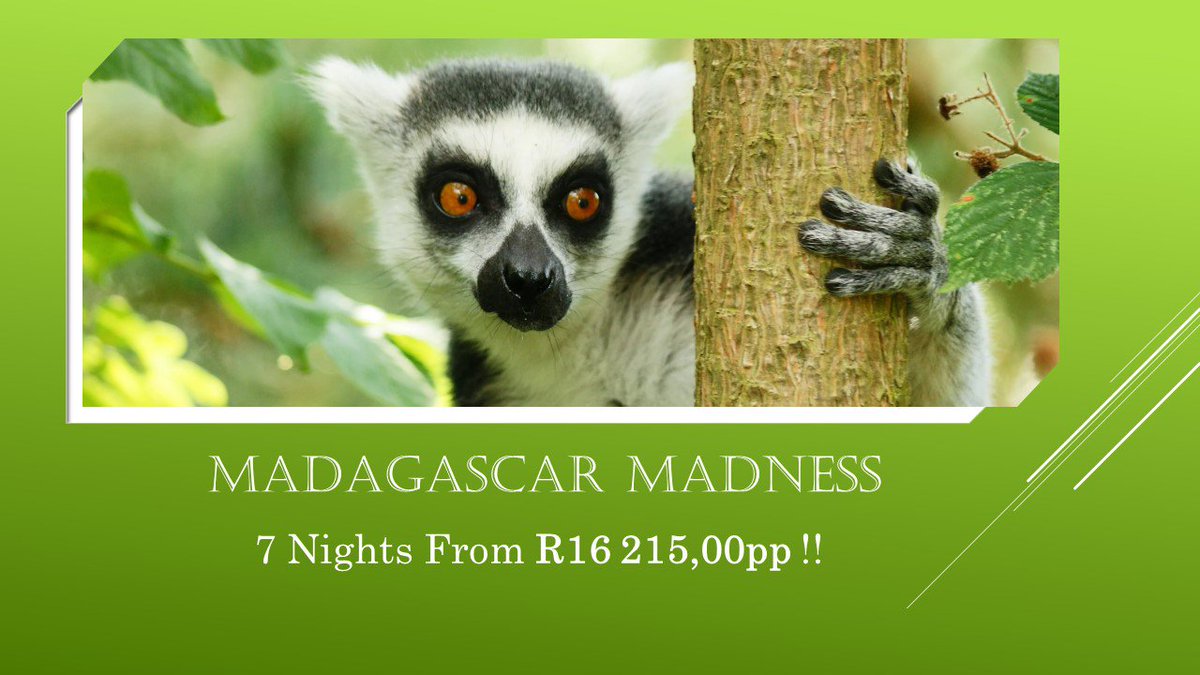 FLIGHTSPECIALSW's tweet photo. Madagascar Madness - https://t.co/KvfDOgsHgd