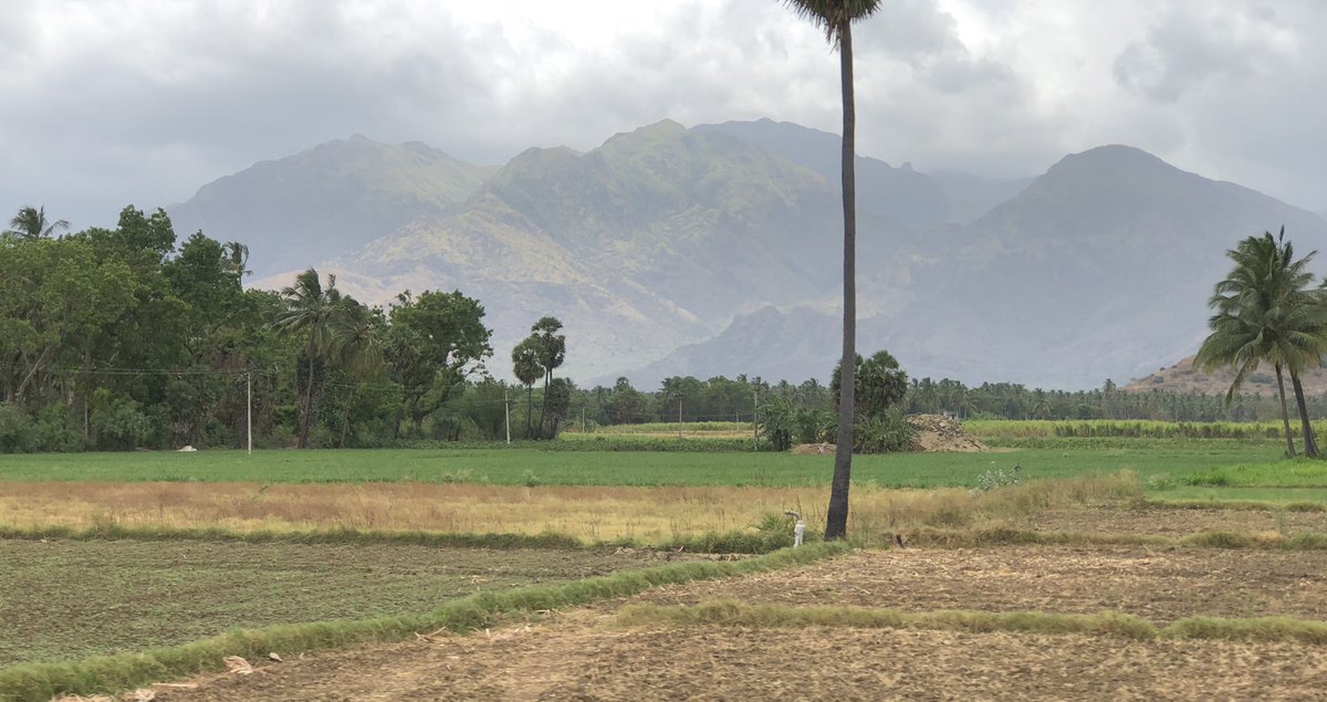 msathia's tweet image. #modination