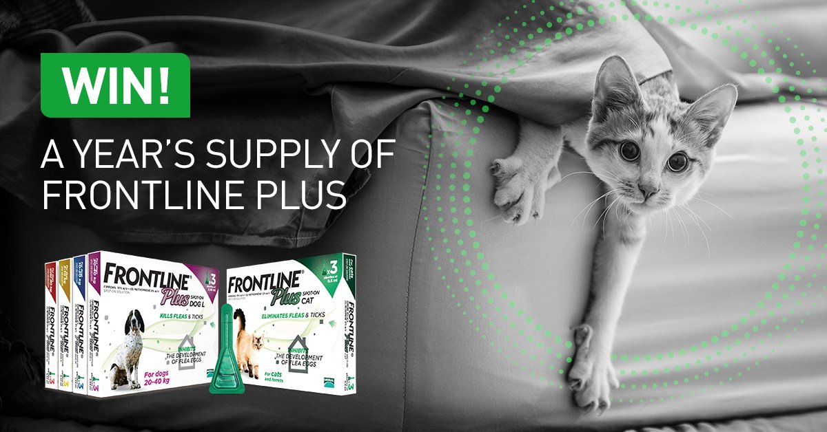 viovet frontline plus