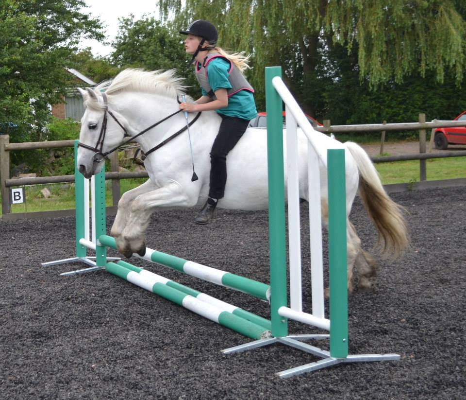 JumpsOnline's tweet photo. Our horse jumps are manufactured out of UV resistant polypropylene (poly jumps) and are weighted to ensure they command the appropriate respect from the horses. They are resilient to our windy island conditions and yet are manageable to move around. https://t.co/SI6hUerAvq