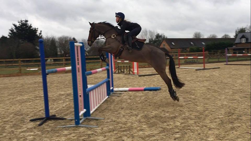 JumpsOnline's tweet photo. Our horse jumps are manufactured out of UV resistant polypropylene (poly jumps) and are weighted to ensure they command the appropriate respect from the horses. They are resilient to our windy island conditions and yet are manageable to move around. https://t.co/SI6hUerAvq