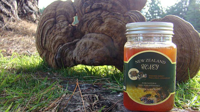 몸에좋다고 혼자 실컨만들어 한국부모님보내고 하다보니 너도나도 달라고하길레 
팔아볼까 해서 만들어보았습니다 ~~
3년간 카우리상황버섯 효소 우려서 뉴질랜드 마누까꿀 만든것입니다 

smartstore.naver.com/nzhouse/produc…