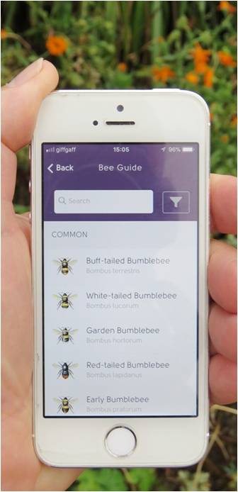 Phone screen with pictures of bees