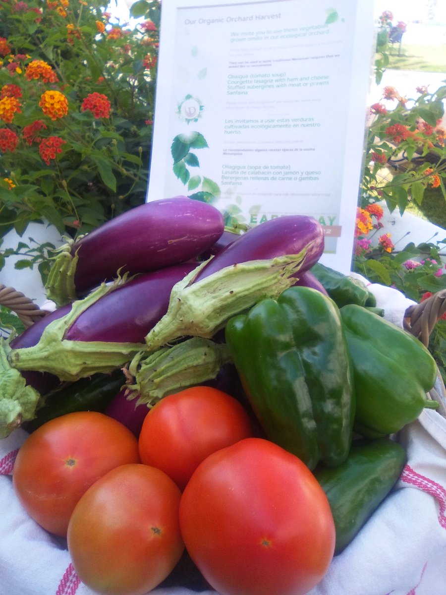 JuanaTriay's tweet photo. Our orchard collection today #Whitesandsbeachclub #DRIGoGreen #DiamondGoGreen @BegoaAguirre #freshvegetables https://t.co/39hoKNhBxK