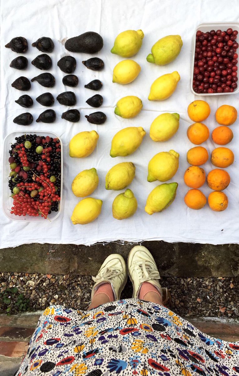 shutishuti tweet media