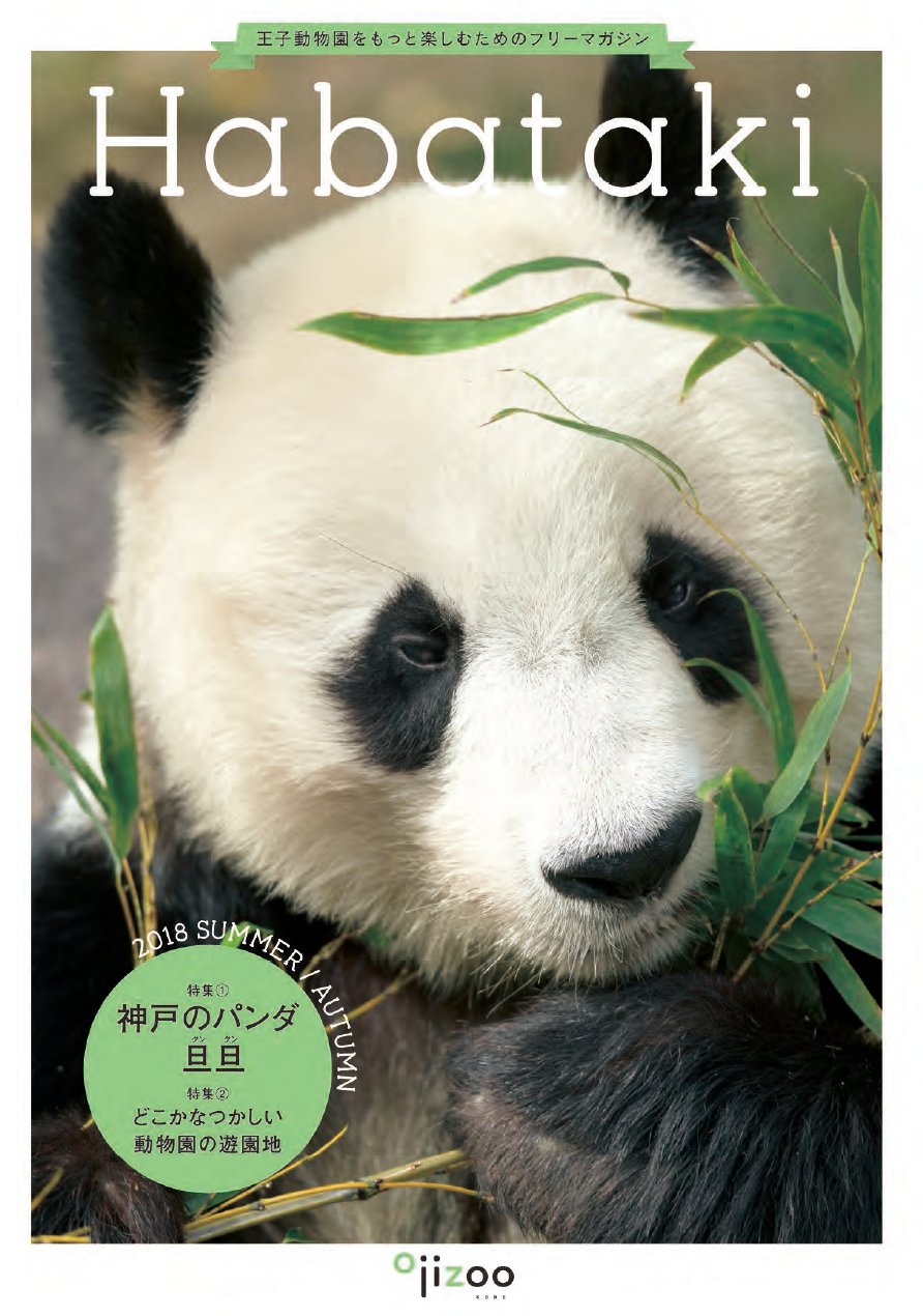 神戸市広報課 王子動物園のフリーマガジン はばたき の最新号ができました 特集はジャイアントパンダ タンタン 旦旦 タンタンの可愛らしさの特徴や彼女の一日の生活 王子動物園のパンダたちの足跡などを詳しくご紹介 はばたき は王子動物園等