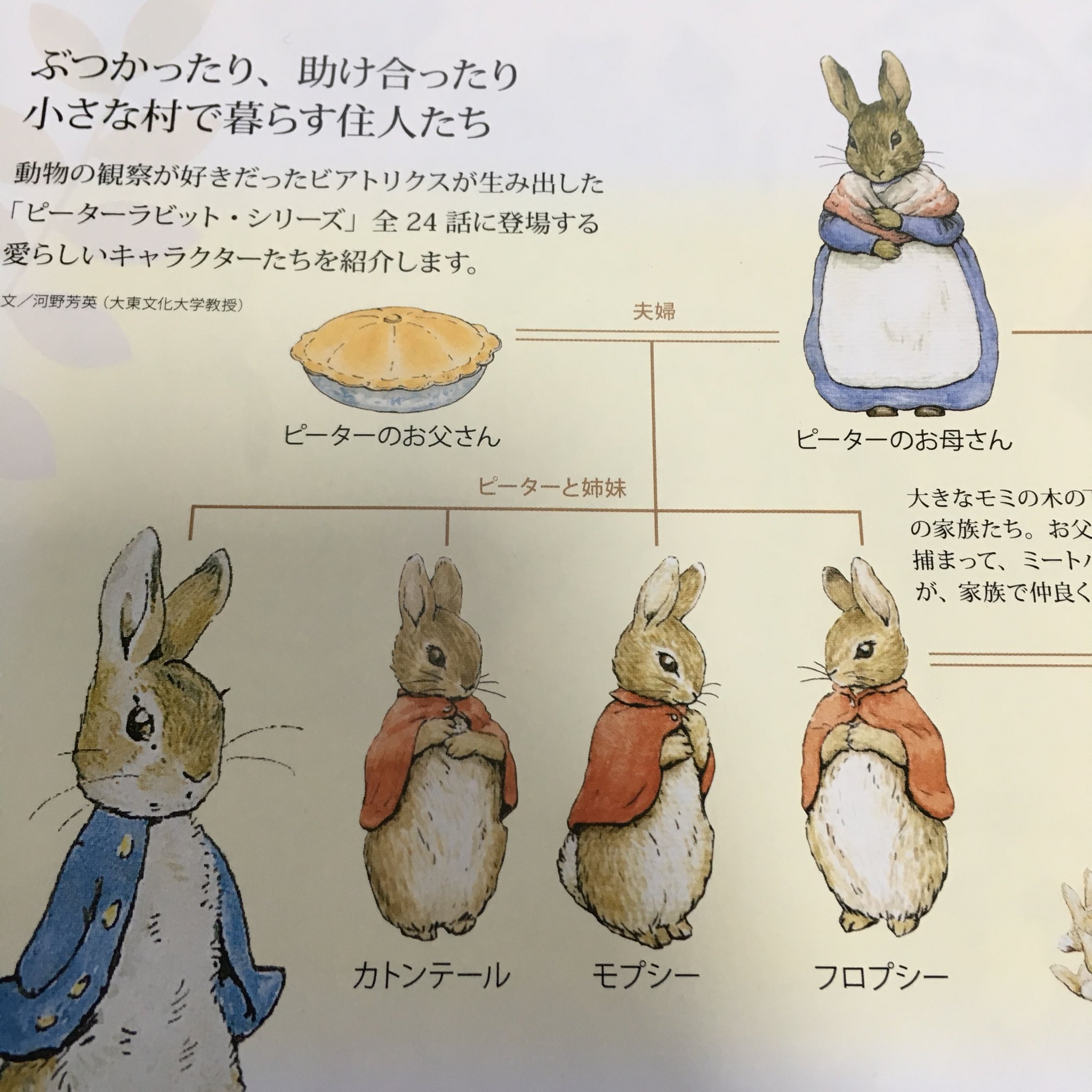 桜舞う季節 フロプシー・モプシー・コットンテール 三姉妹☆BP-1a