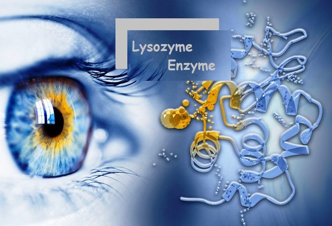 searchgui enzyme definition