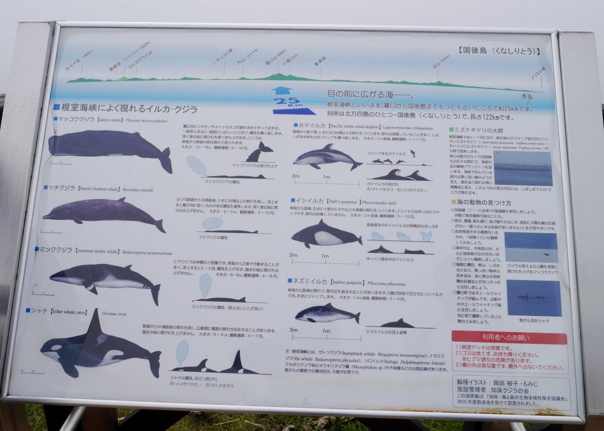ゆかり クジラの見える丘公園の展望デッキから ぱちり なんにも見えない 海と空の境目も全くわかんない