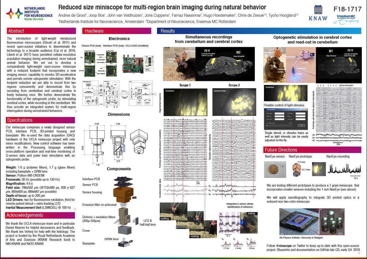 In case you did not have a chance to stop by our poster @ #FENS2018 here's a snapshot.