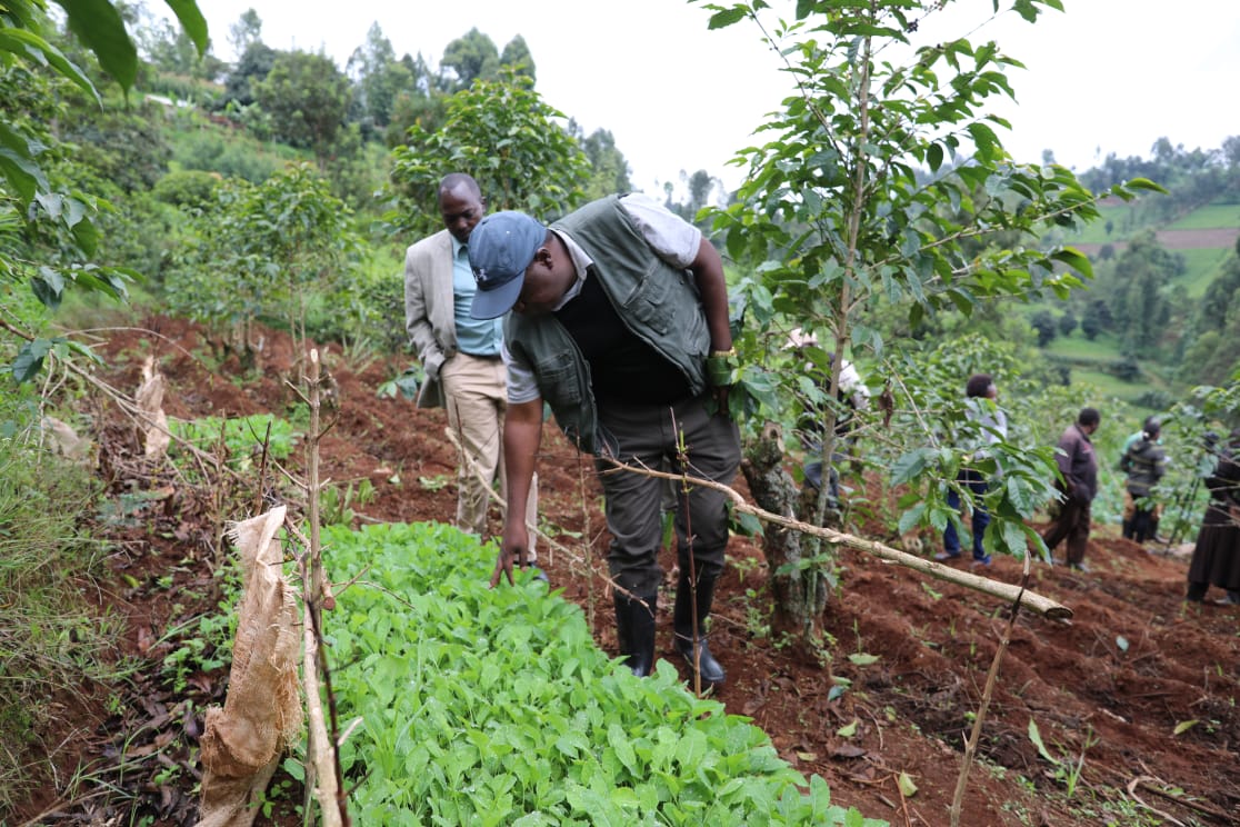 Ministry of Environment, Climate Change & Forestry tweet media