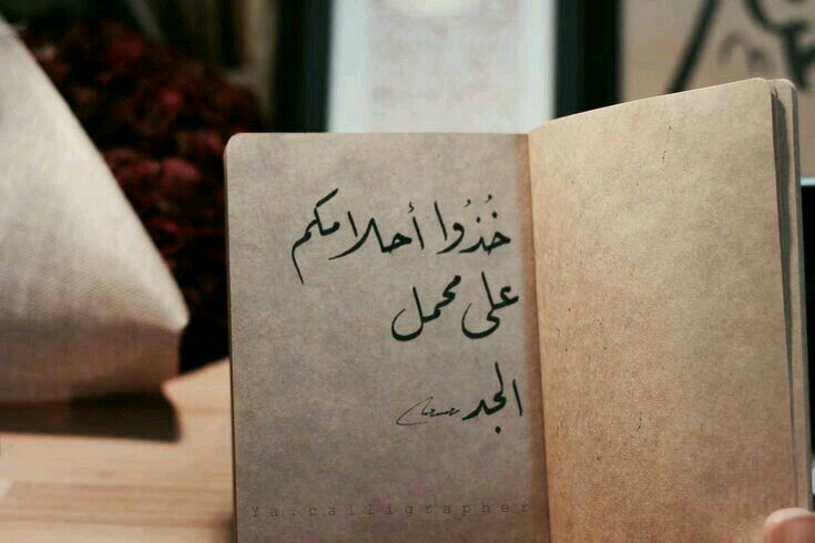 سر لا تقف فالدرب لا يأتي إليگ ، والحلم لاآ يجري ليسقط في يديگ ، هي هكذا الأيام سعي دائم