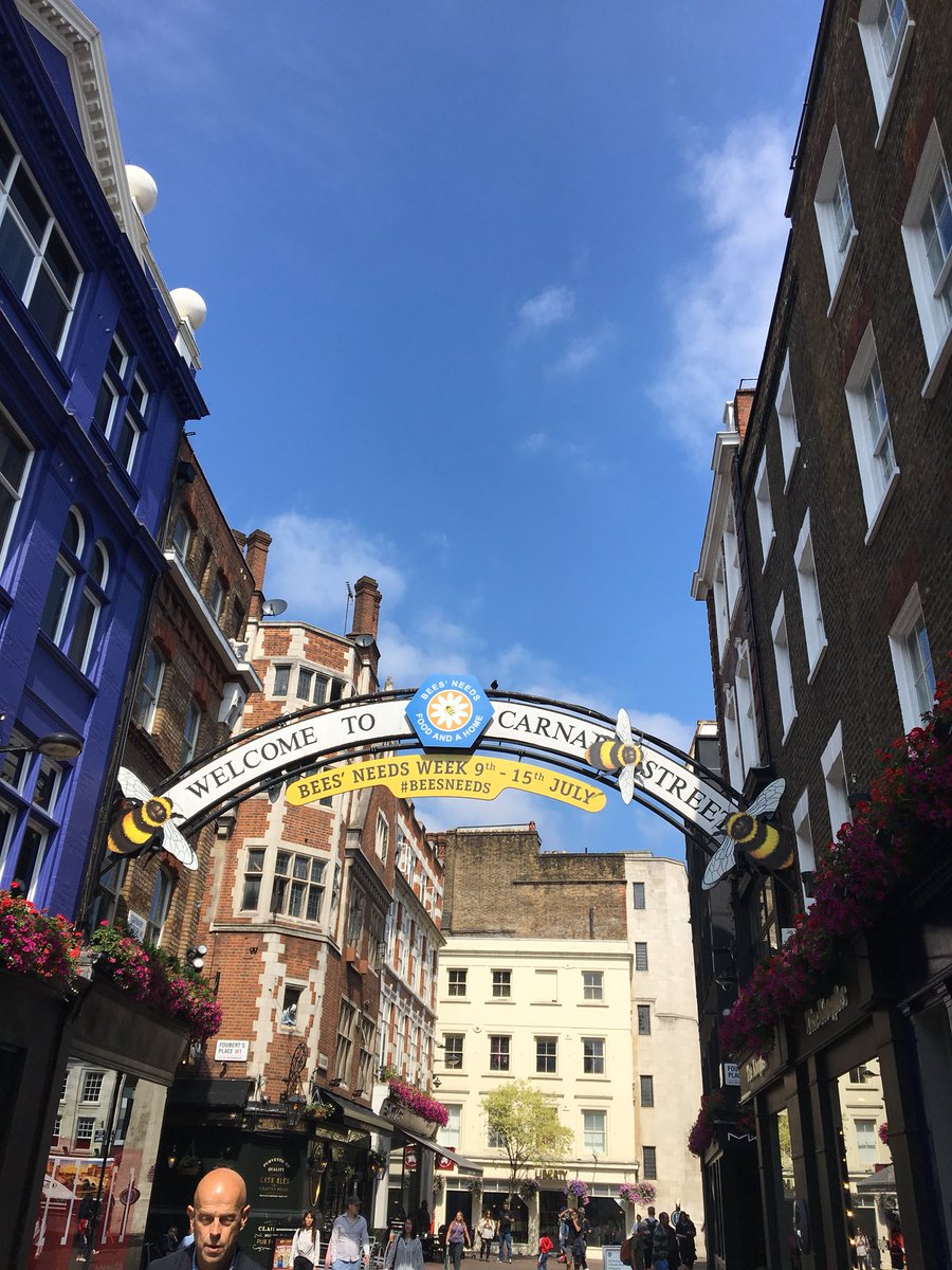RaynerIzzy's tweet photo. @CFEonline here for #BeesNeeds week at @CarnabyLondon ππΎπ·#BEENEEDS https://t.co/xmNXhsVDVw