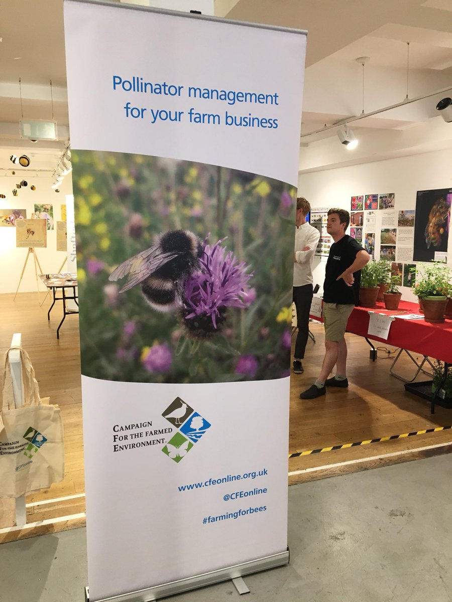 RaynerIzzy's tweet photo. @CFEonline here for #BeesNeeds week at @CarnabyLondon ππΎπ·#BEENEEDS https://t.co/xmNXhsVDVw