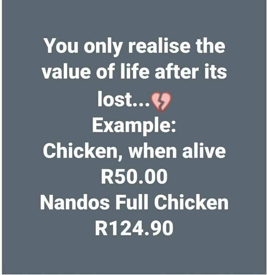 Dirky Dreams (@dirkydreams) on Twitter photo 