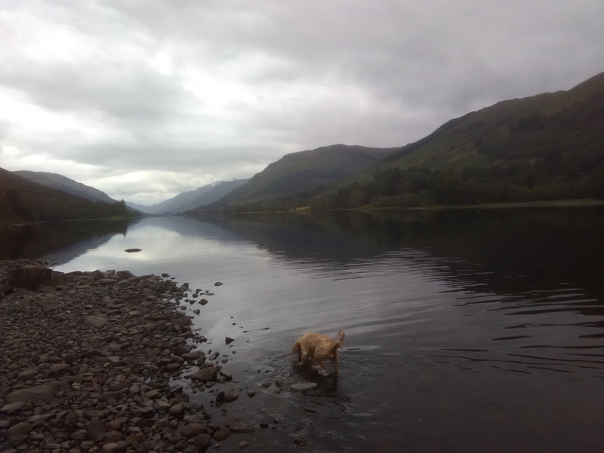 SigmaSamTF's tweet image. 