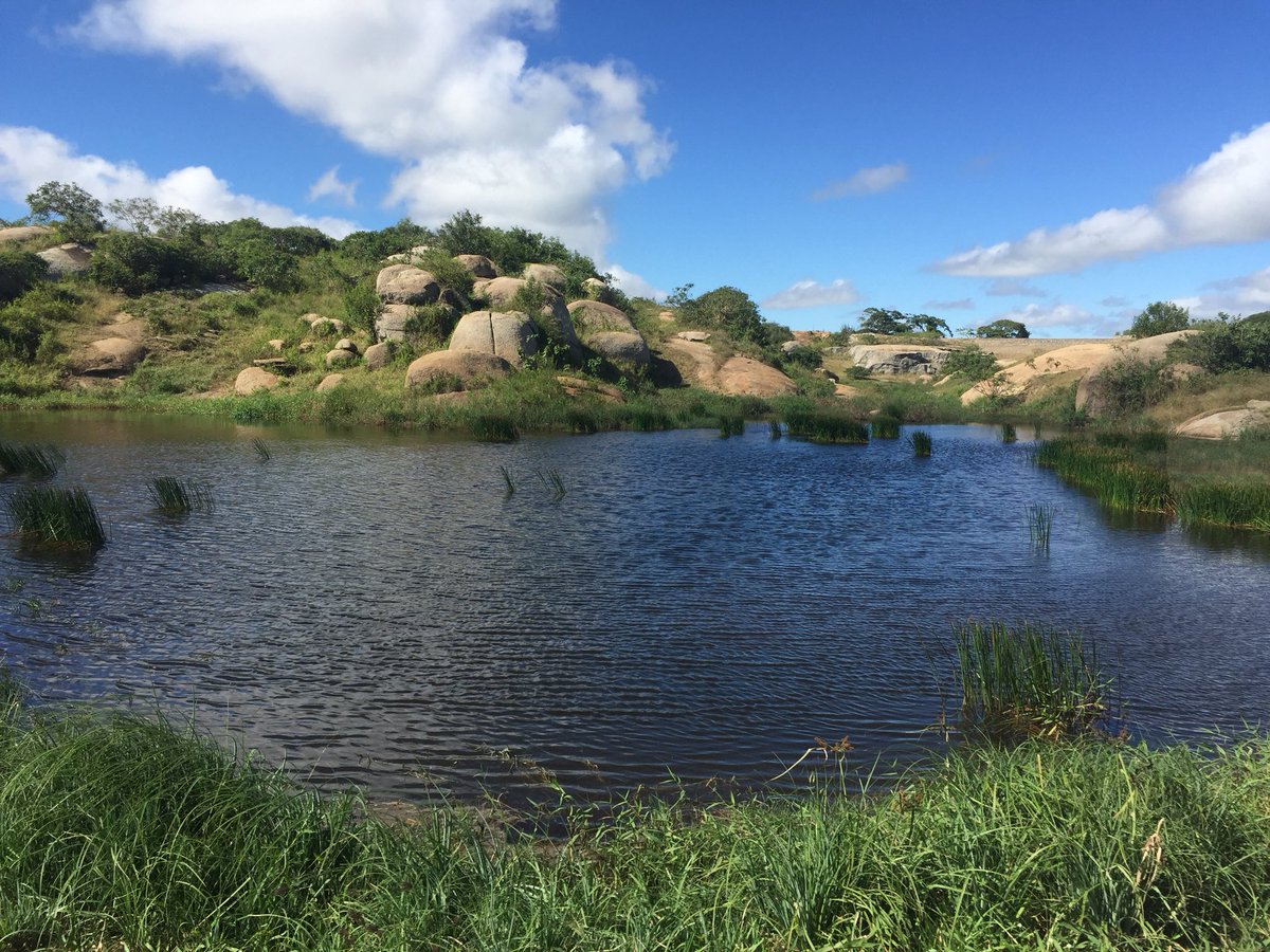 MenezesRF's tweet photo. Field work at Borborema plateau finally done for the rain season. Looking forward to checking the data #limnology; #climatechange;#drylands;#salinization;#biotichomogenization https://t.co/wH41QvVBJN