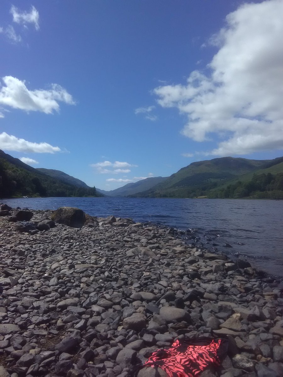 SigmaSamTF's tweet image. 