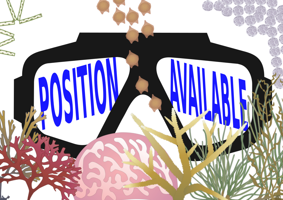 ASPABites's tweet photo. Position Available: Postdoctoral Fellow in Antarctic Paleoclimatology at Australian National University. Applications close 22 July 2018. See https://t.co/UqS1bUsfw0 #ASPABlog #postdoc #researcher #Antarctica #biogeochemistry #diatom #paleoclimatology https://t.co/vGcJmf5csC