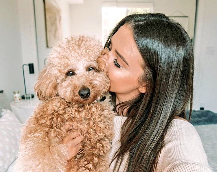 vercaces's tweet image. — I'm obsessed with dogs. 🐶