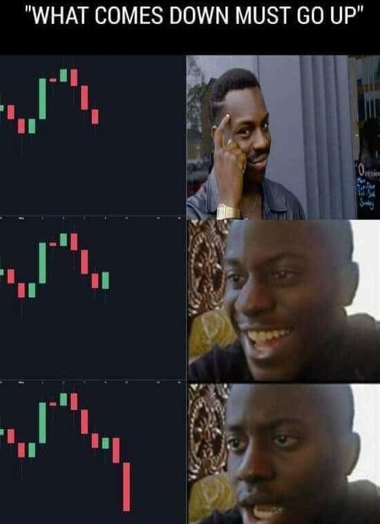 CryptoFungus's tweet image. 