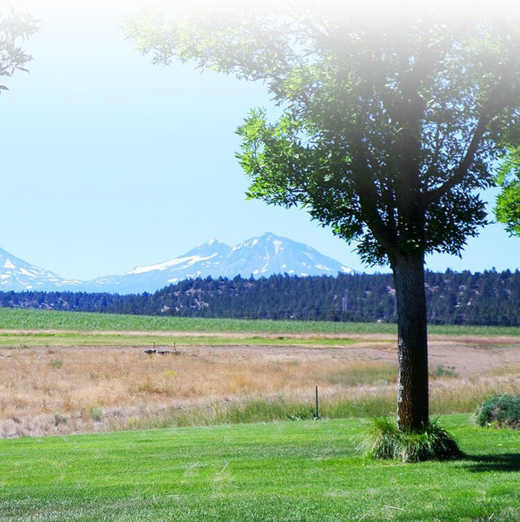 자연의 책 - ekcnews.com/archives/7044