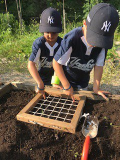 Felix Gil tweet media