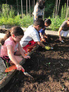 Felix Gil tweet media