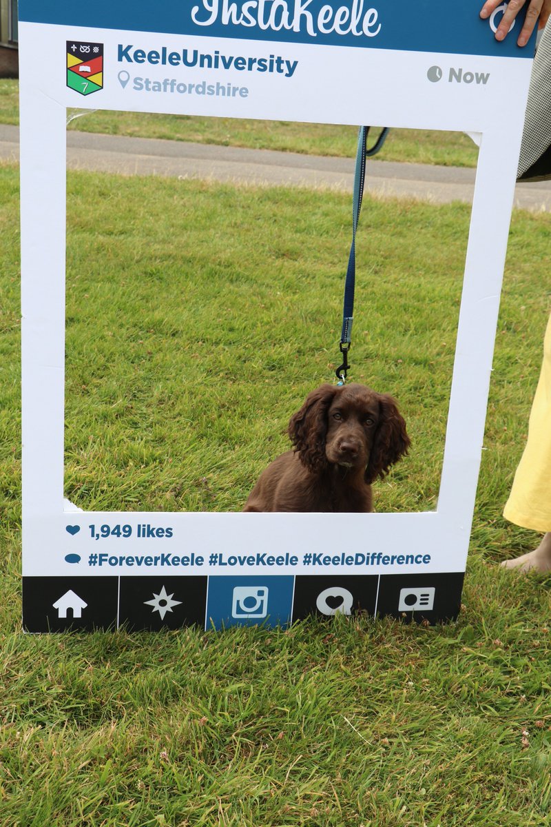 THIS IS LILY! LOOK AT LILY! #keelegraduation #dogsofgraduation