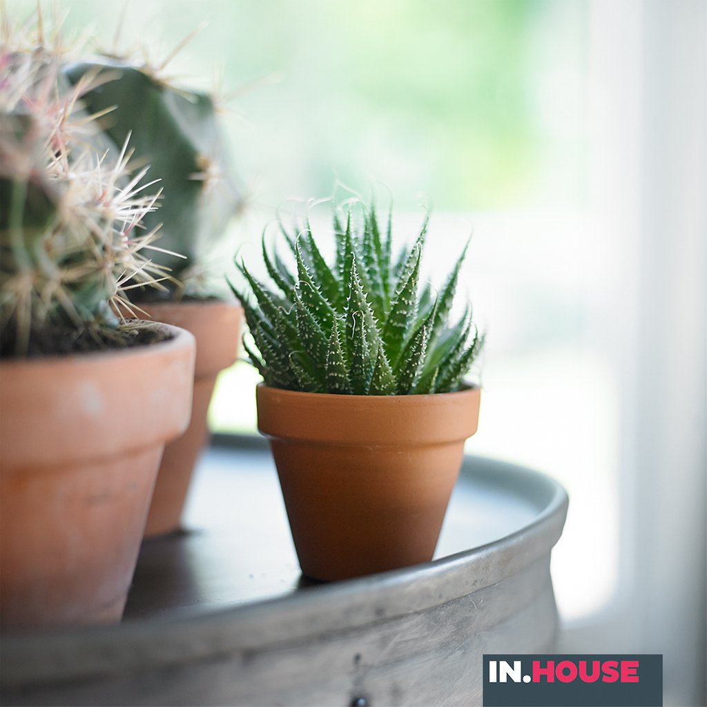 Hoe heerlijk is het om voor het eerst in lange tijd weer even buiten te zitten op je terras of balkon en te genieten van dat zonnetje. Je krijgt meteen inspiratie om ook je interieur een frisse draai te geven. Dus gooi lekker de ramen open en ga aan de slag.
