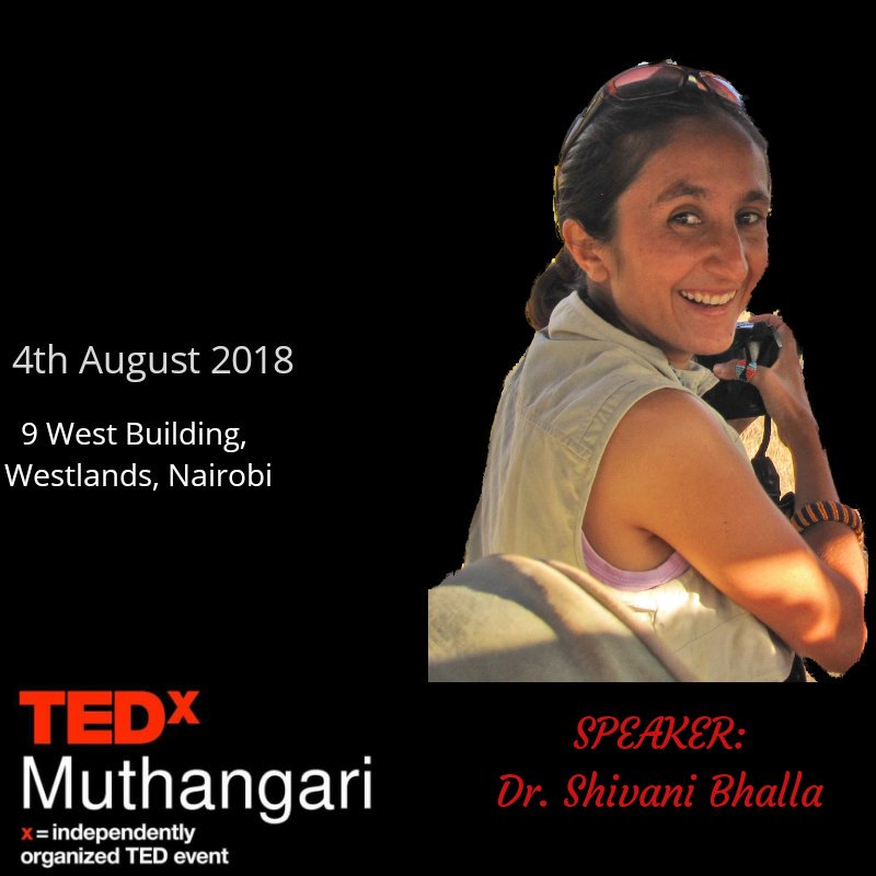 TMuthangari's tweet photo. "The success of lion conservation hinges on the involvement of the local people who live alongside lions" Dr. Shivani Bhalla
Dr. Shivani is the Founder &amp; Executive Director of Ewaso Lions where she works with communities to promote coexistence between people and wildlife. https://t.co/vsWeoZlFvb