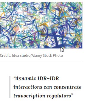 NatRevMCB's tweet photo. #ResearchHighlight summarizing recent work on #intrinsicallydisordered proteins, their interactions and their roles in #geneexpression 3 x @sciencemagazine @CellCellPress https://t.co/oRUSvyqV2Y #phaseseparation https://t.co/5GiVoXRyd7