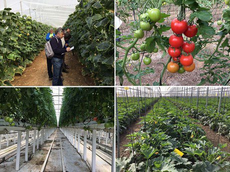 The value of biorationals in pest resistance management @certisspain 
hortidaily.com/article/44322/…