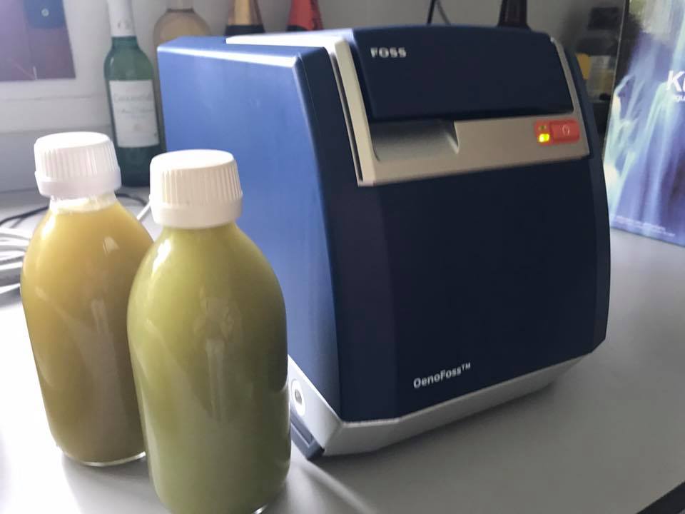 Una de las principales tareas de un #enólogo es conocer el momento idóneo para la #vendimia. Tenemos todo el material de laboratorio necesario para vuestros equipos como distribuidores oficiales de #FOSS: #OENOFOSS y #WINESCAN. vidyenol.es/productos/labo… #Vidyenol