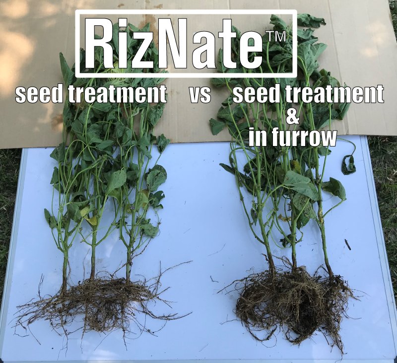 GenesisAgUSA's tweet photo. "But is it really worth it to put a liquid in furrow system on our soybean planter?" https://t.co/cYOov1sjed