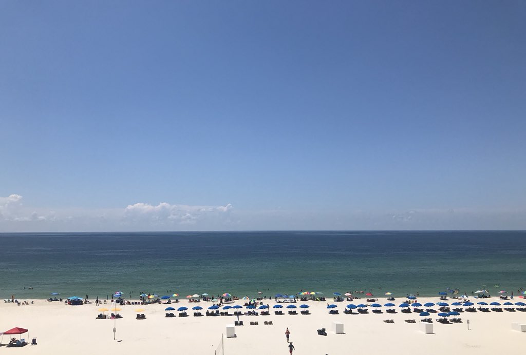 DoggoneFree's tweet image. This is going on outside and I can’t tear away from the #StrzokHearing #IHaveProblems