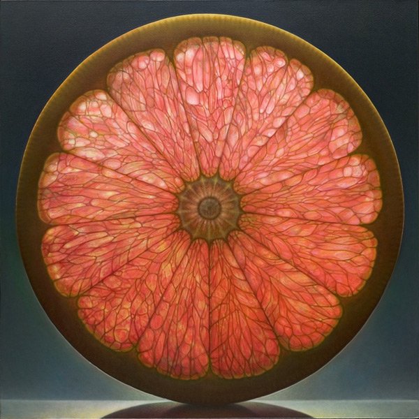 blvrdvr's tweet photo. Dennis Wojtkiewicz offers a fresh take on the genre of #still life, painting luminous portraits of melons, kiwis and citrus, whose segments resemble stained glass windows. #art #stainedglass (Image: #Wojtkiewicz, Rosettes Series #16, courtesy of Colossal) https://t.co/wAPzQBJZog https://t.co/xo3zZzzCnQ