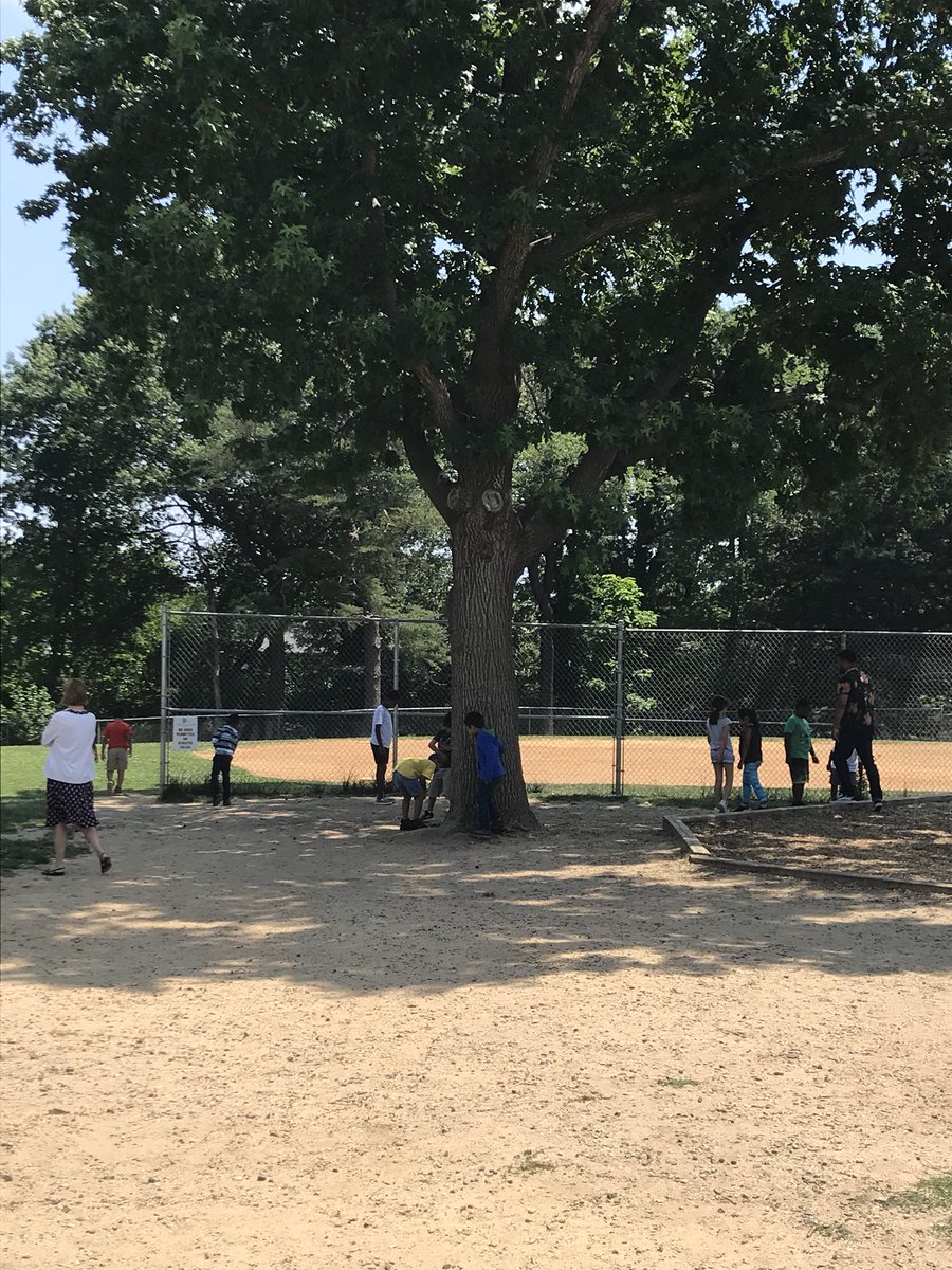Mrs_Foster12's tweet photo. Students looking for animals that when camouflaged in their habitat are both easy and hard to see! #ColorsinNature @longbranch_es @LCerrudAP https://t.co/uinTf5q36z