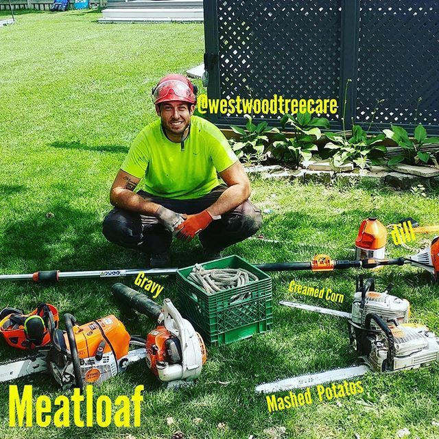 ClaytonGray109's tweet photo. Hey Hey Hey, the gang's all here! Welcome back Creamed Corn! Been on the sidelines with a broken handle but now here and ready to rip through some 4 to 10 inch wood!
#hellyeah #team #stihl https://t.co/1cFe6WyYXN https://t.co/9f23IMedyb