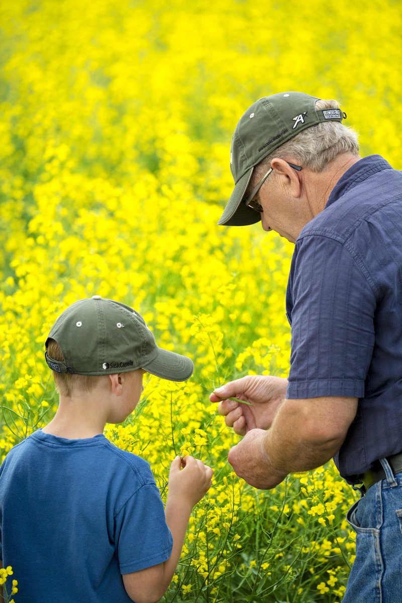 licensetofarm's tweet image. "It's confusing when we hear about corporate farms vs. family farms. And the truth is, that 97% of the farms in Canada are still family owned and operated. Regardless of size," says @CherilynNagel in #LicenseToFarm. bit.ly/2LkyudD