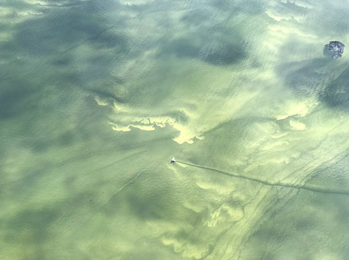 Seppo Knuuttila (@knuuttilas) on Twitter photo Rajavartiolaitoksen kuvassa sinileväkukintaa Pellingin eteläpuolella eilen 11.7. Itämeren pääaltaan hapeton ja hyvin fosforipitoinen syvävesi vaikuttaa nyt koko Suomenlahden tilaan. Ilmaston lämpeneminen ei tule edistämään meren tilan kohenemista. <a href="/SYKEinfo/">Suomen ympäristökeskus</a> Rajavartiolaitoksen kuvassa sinileväkukintaa Pellingin eteläpuolella eilen 11.7. Itämeren pääaltaan hapeton ja hyvin fosforipitoinen syvävesi vaikuttaa nyt koko Suomenlahden tilaan. Ilmaston lämpeneminen ei tule edistämään meren tilan kohenemista. <a href="/SYKEinfo/">Suomen ympäristökeskus</a>