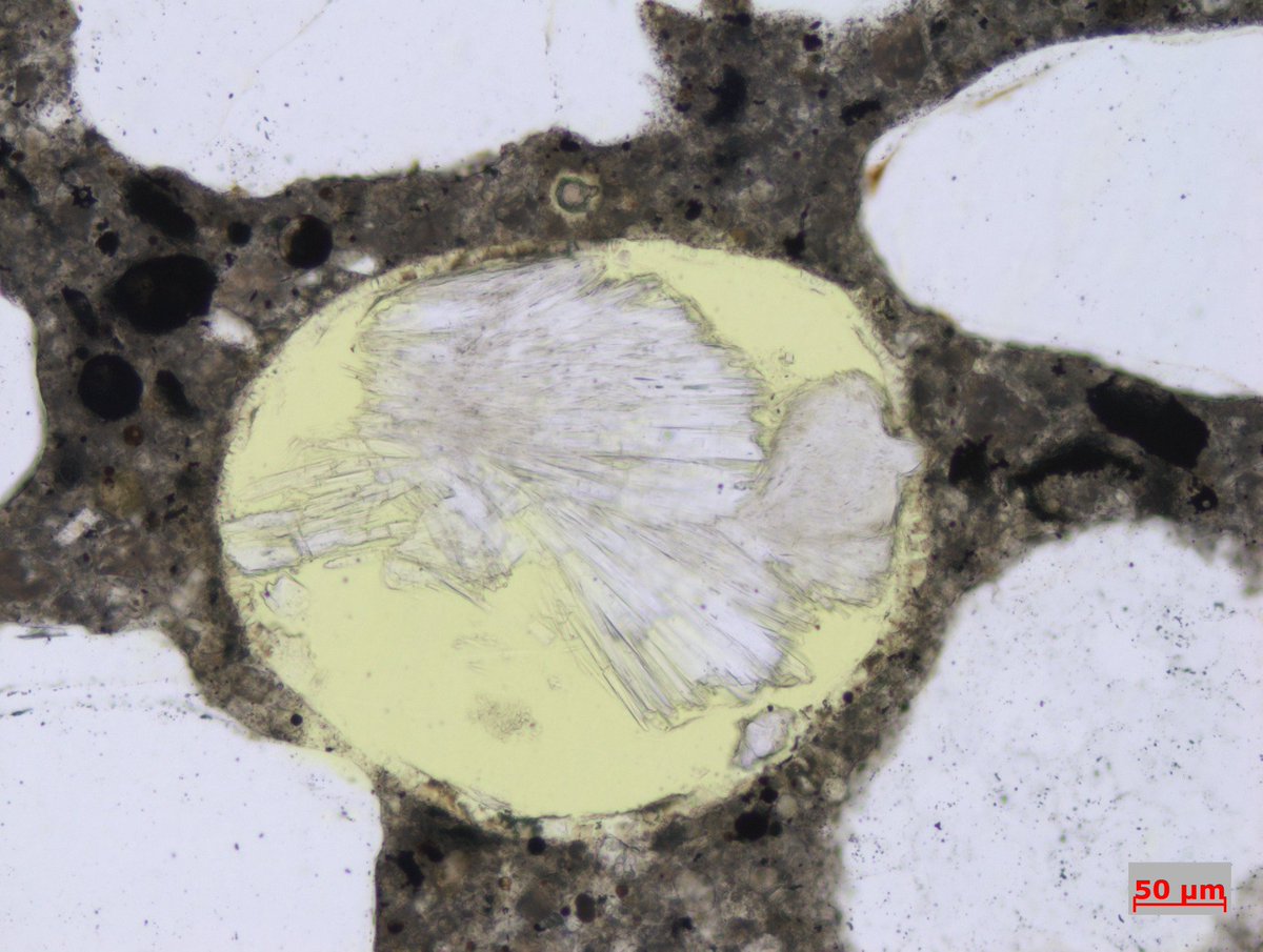 RSKPetrography's tweet photo. Good afternoon #Petrographers! For this #ThinSectionThursday we give you an excellent example of secondary ettringite formation in a void in concrete. Great for us to see, not so great for the #concrete. https://t.co/5OTHUBnprD