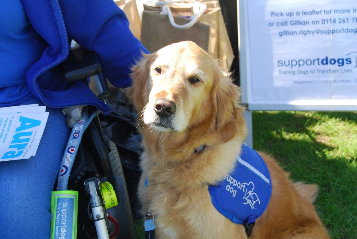supportdogsuk's tweet photo. We'll be at @beightonvillagegala in #Sheffield on Saturday, so if you're attending, come and say hello! If you'd like to volunteer for future similar events contact Sarah on 0114 2617800 or email sarah.cooper@supportdogs.org.uk https://t.co/gUBdPSdtOd