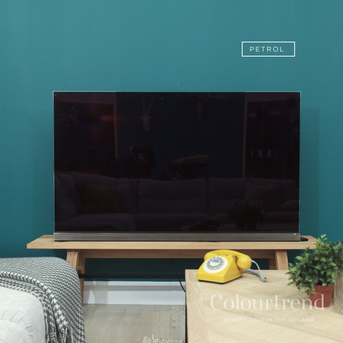 MurtaghDrogheda's tweet photo. #Petrol by @Colourtrend never fails to make a statement. #Colourtrend #ColourtrendStockist #InfiniteColourFromIreland
Email: info@murtaghsdrogheda.ie
https://t.co/jHHWyYz4Wq 
#LouthChat https://t.co/LhUmA2FSHb