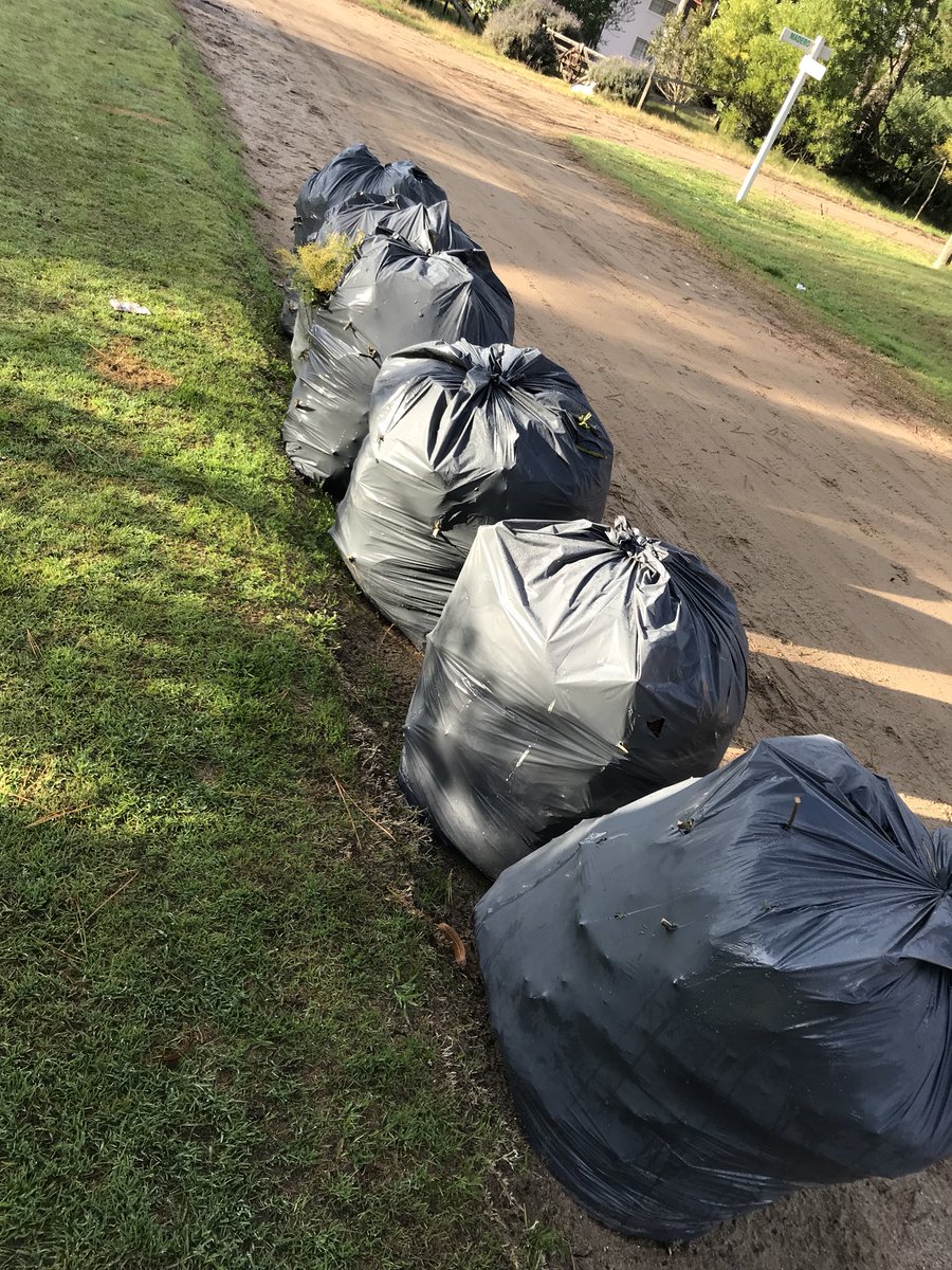 YoAmoMiPlayaOK's tweet image. Dejemos de hacer bolsa este planeta, el pasto y la pinocha que quede en su lugar o en un costado del parque y después lo usas de abono.